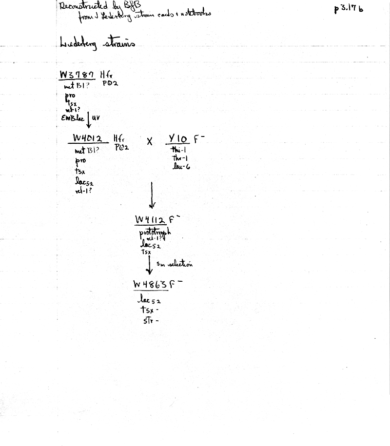 X27 BJBachmann Reconstruction p3.17b